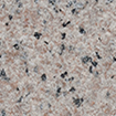 RCS001