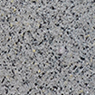 RCS001