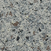 RCS001