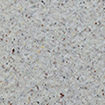 RCS001