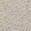 RCS001