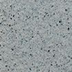 RCS001